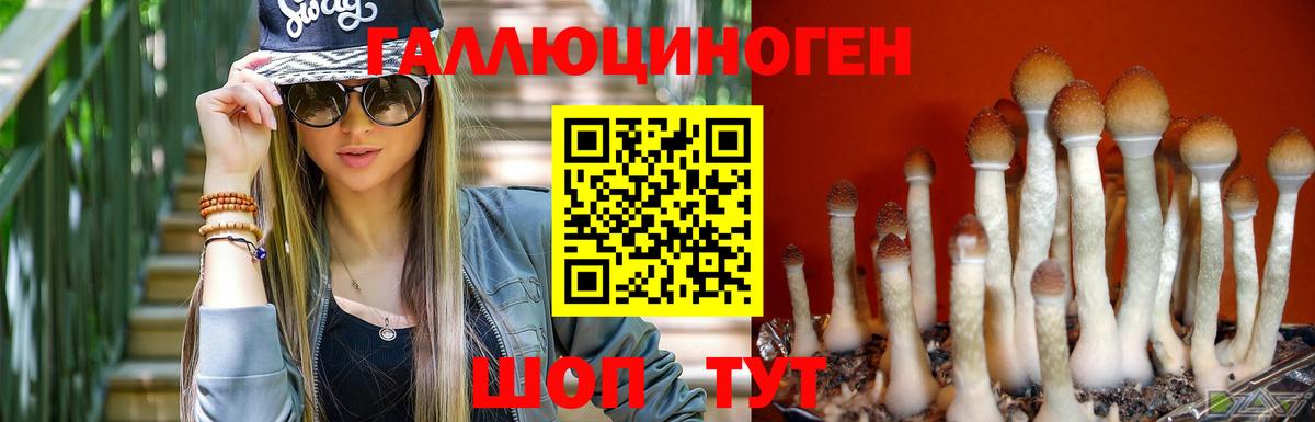 Псилоцибиновые грибы Cubensis  Вход с VPN  Фролово 