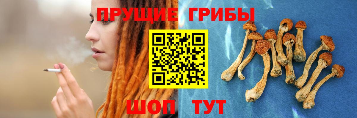 Галлюциногенные грибы прущие грибы Фролово