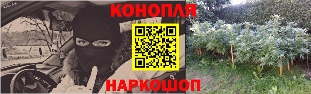 Бошки марихуана Bruce Banner Фролово